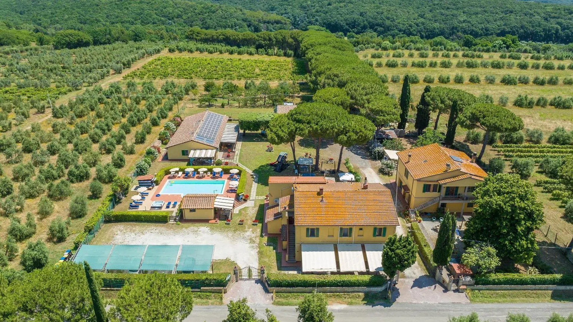 Il Pino - Appartamento Ciliegio Cecina